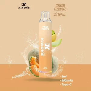 一次性電子煙 DIYA 7500口｜650mAh可充電｜1.2Ω網芯｜3%濃度｜口味-哈密瓜