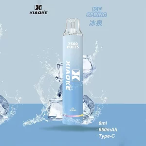 一次性電子煙 DIYA 7500口｜650mAh可充電｜1.2Ω網芯｜3%濃度｜口味-深海冰泉