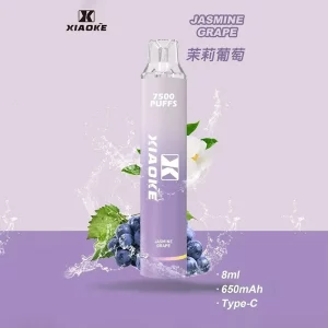 一次性電子煙 DIYA 7500口｜650mAh可充電｜1.2Ω網芯｜3%濃度｜口味-茉莉葡萄