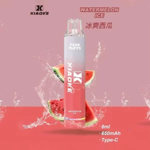 一次性電子煙 DIYA 7500口｜650mAh可充電｜1.2Ω網芯｜3%濃度｜口味-西瓜冰