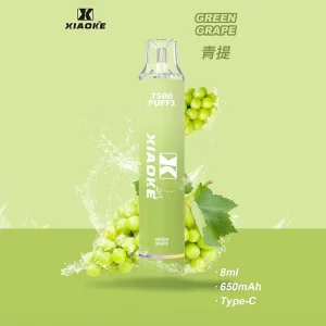 一次性電子煙 DIYA 7500口｜650mAh可充電｜1.2Ω網芯｜3%濃度｜口味-青提