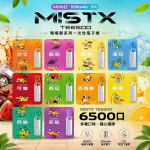 一次性電子煙 MISTX TE 鴨嘴獸｜6500 口｜550mAh可充電｜口味清單首圖